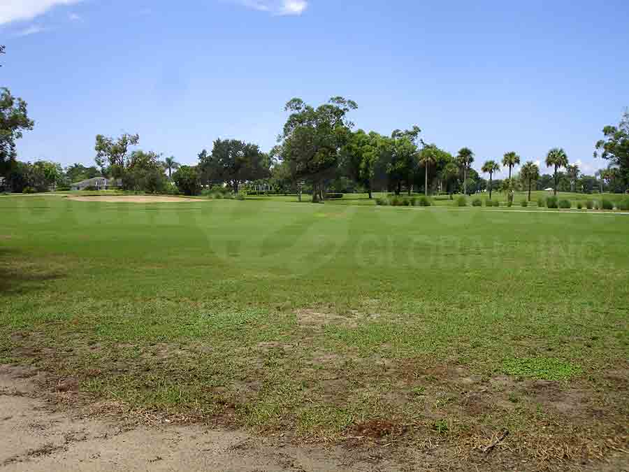 Naples Green Golf Course